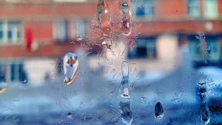 星空官网_教科文组织呼吁加强教育 消除体育运动中使用兴奋剂现象