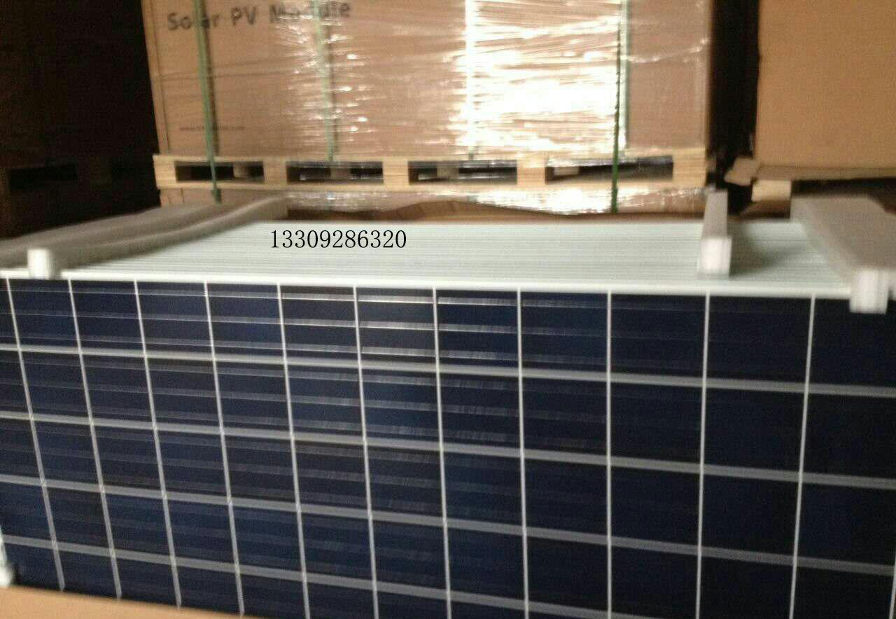 星空官网：东南大学一宿舍六女生全都保研进国内外名校