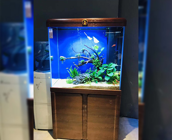 2019年撤销婚姻登记后还是未婚吗?可撤销婚姻的撤销权怎么行使?_星空官网