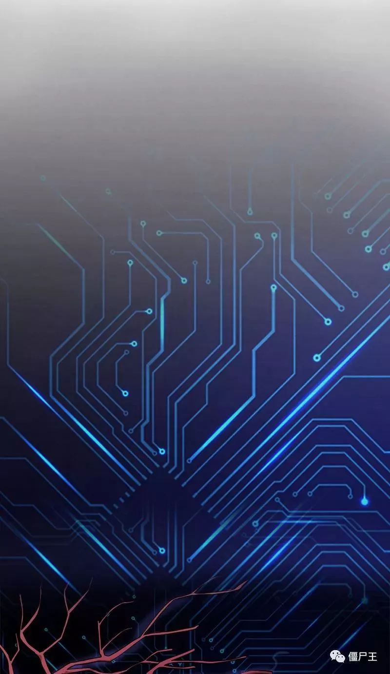 ‘星空官网’游学市场一片热闹的背后,质量令人担忧