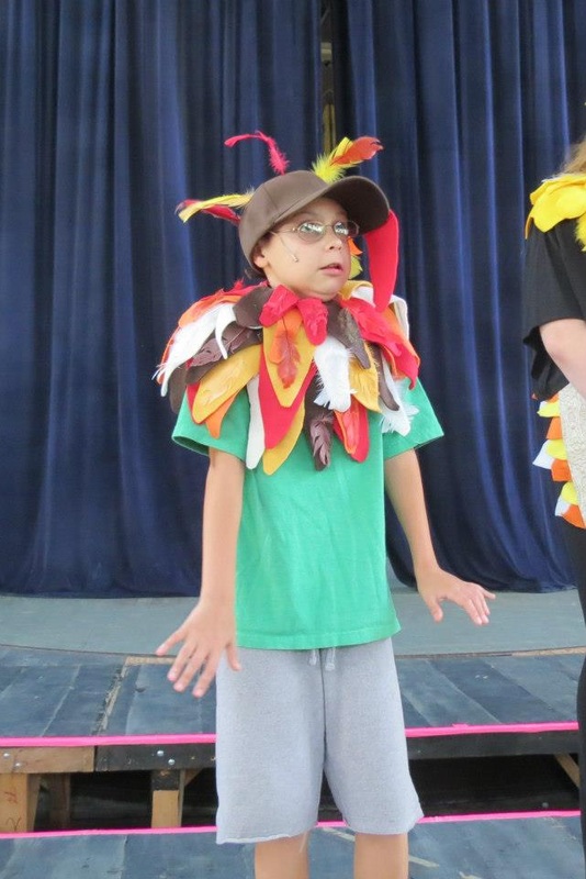 星空官网_海关总署:辟谣“海外代购遭封杀” 无特别措施