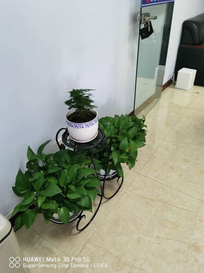 联合国：有关中部非洲武器管制的《金沙萨公约》将于３月８日全面生效-星空官网