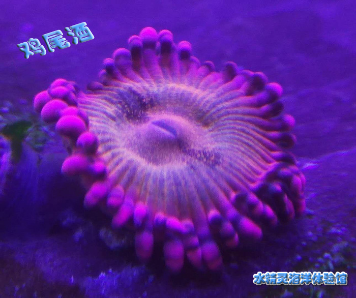 永乐国际新手任务注册送体验金 三重钜惠来袭‘星空官网’