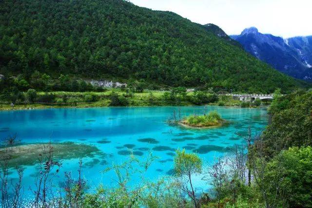 香港 ifc 商场呈献「丰盛花开福满庭」风车花园_星空官网