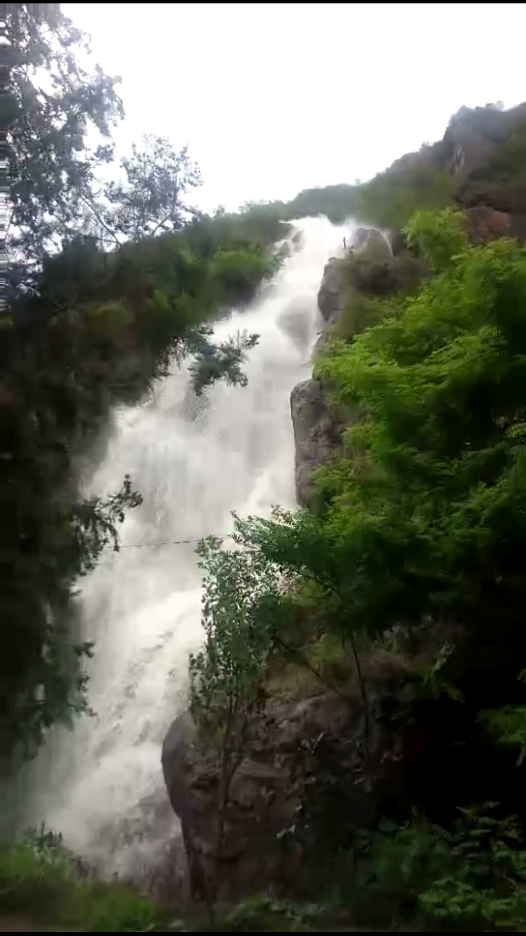 星空官网_希拉里:恐怖分子利用生物和有毒武器的能力在增强(图1) 星空官网