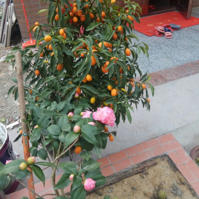 ‘星空官网’如何让春日唤醒能量,这么做就能活力满满(图3) 星空官网