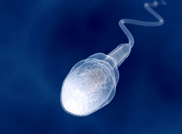 “星空官网”青岛科技大学2017年音乐类专业成绩查询系统 入口:http://zs.qust.edu.cn/query_score(图3) 星空官网