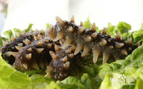 华北水利水电大学:爱的温暖陪伴老人【星空官网】(图2) 星空官网